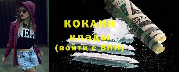spice Новодвинск