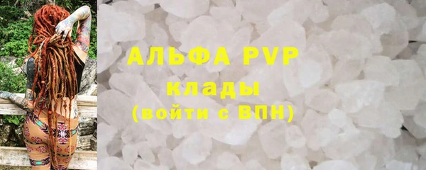 spice Новодвинск