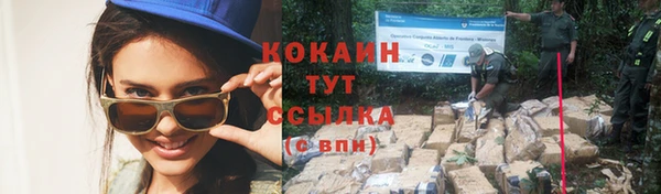 MESCALINE Няндома