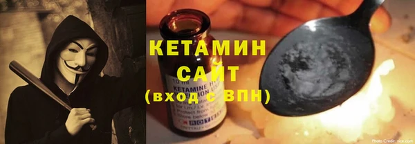 шишки Дмитриев