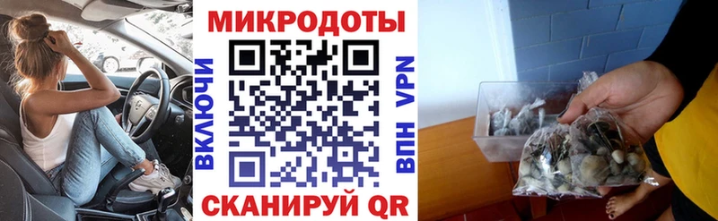 Галлюциногенные грибы GOLDEN TEACHER  где купить наркоту  Полевской 