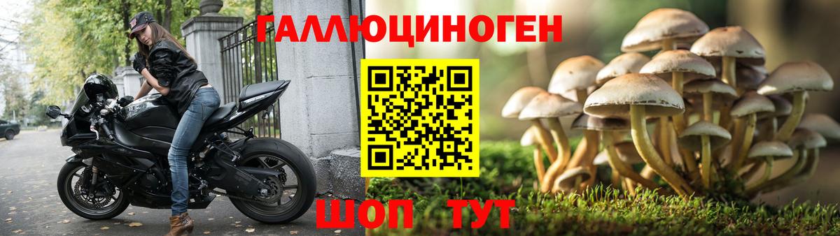 купить   Вход с VPN  Полевской  Псилоцибиновые грибы Psilocybe  Псилоцибиновые грибы Cubensis 