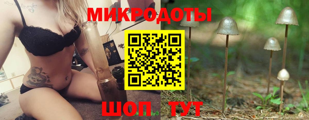 Псилоцибиновые грибы GOLDEN TEACHER Полевской